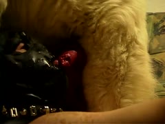 Dude in a mask uses his tongue to satisfy his pet orally and smack the beasts trickling cock juice